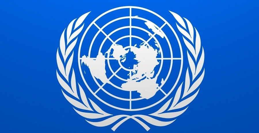 Programa internacional de voluntariado de la Organización de las Naciones Unidas (ONU)