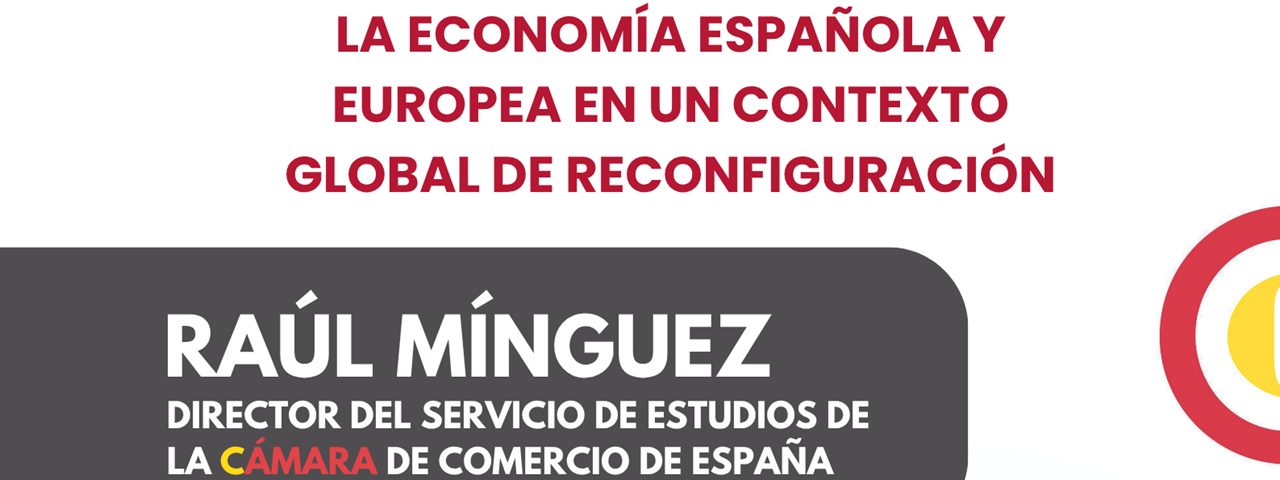 Conferencia Ral Minguez-Imagen