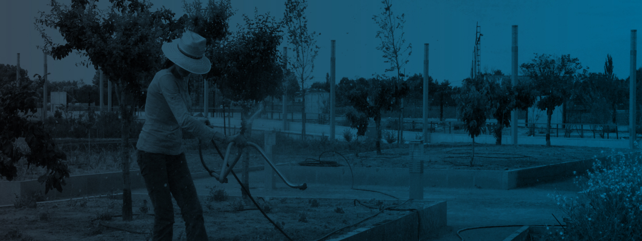 Ingeniería Agrícola y Agroalimentaria