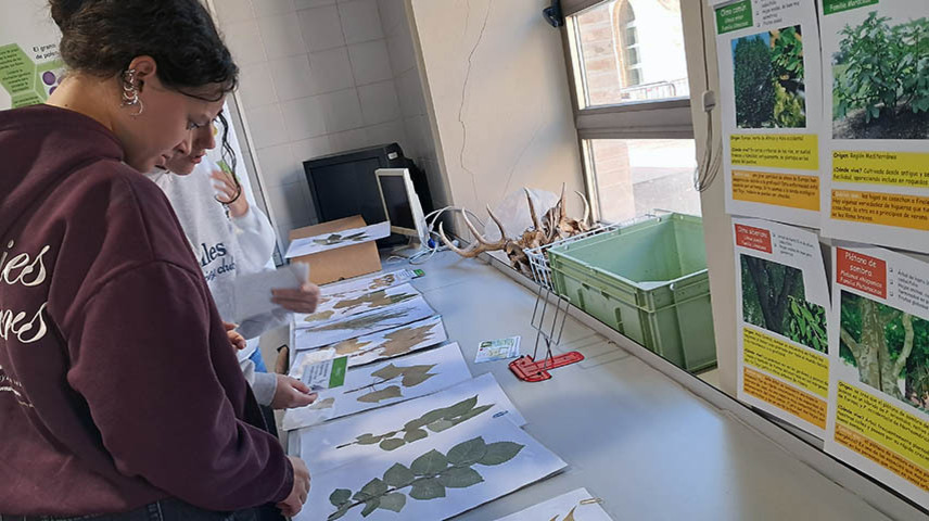 Semana de la Ciencia 2025