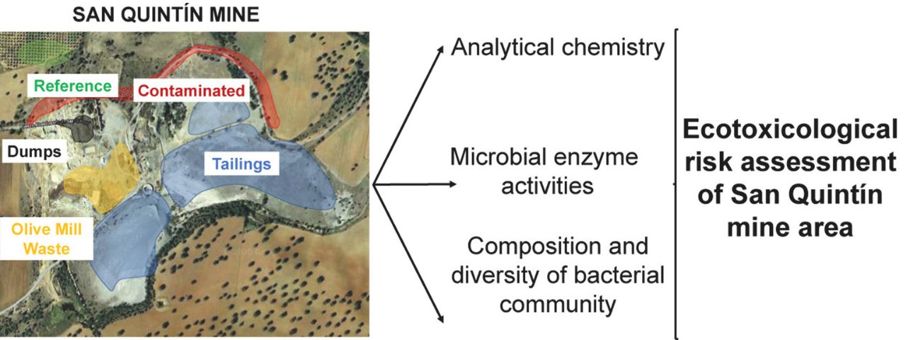 Evaluación de la diversidad y actividad 